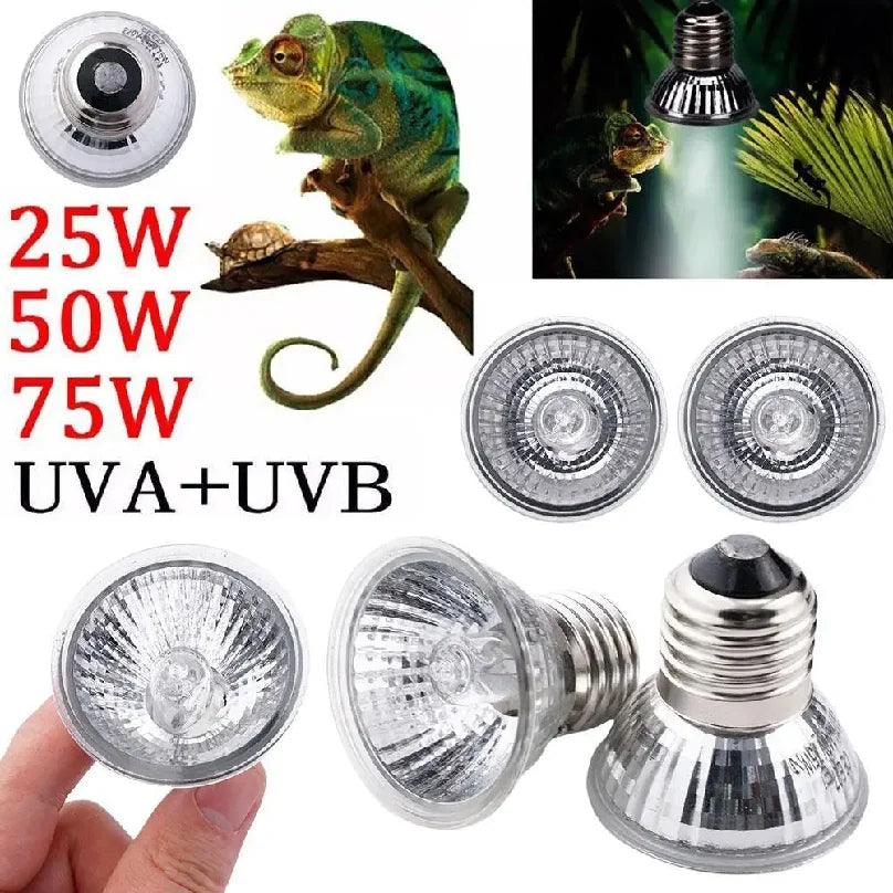 20/50/75W Heat Lamp UVA UVB Reptile Constant - MyPetDollar.com
