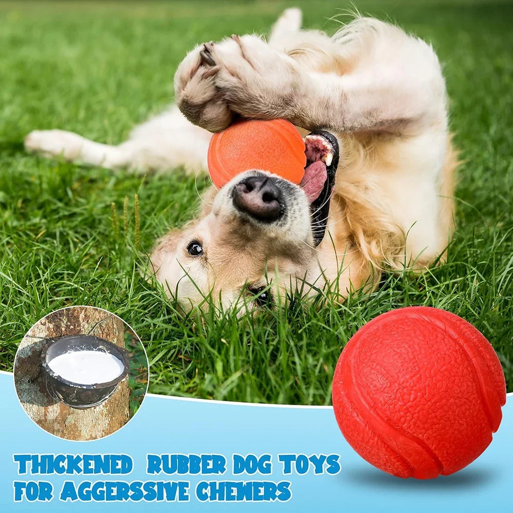 Pet Solid Elastic Toy Ball Cat/Dog Toy Ball - MyPetDollar.com
