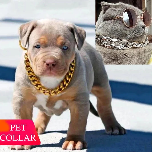 Pet Necklace Medium and Small Dog Collar - MyPetDollar.com