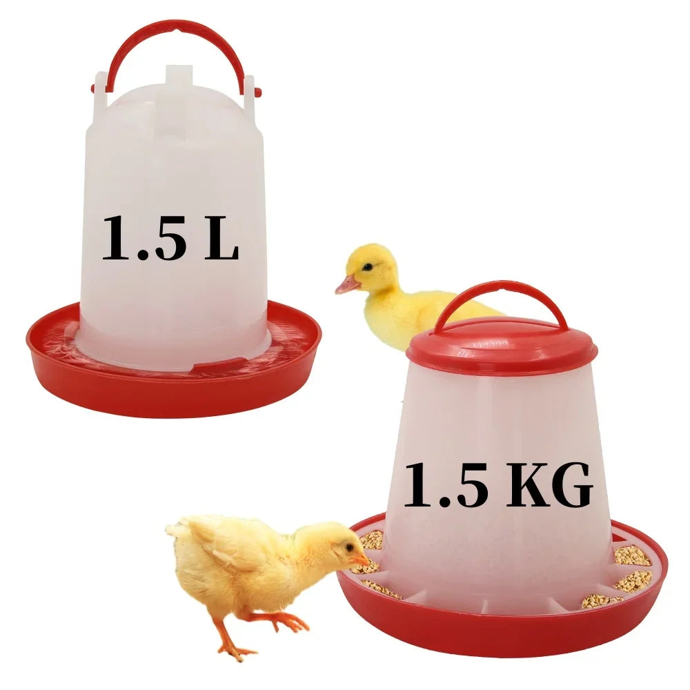 Chicken Poultry Feeder And Waterer Water - MyPetDollar.com