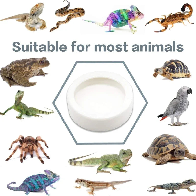 Reptile Water Food Bowl Anti-Escape Ceramic - MyPetDollar.com