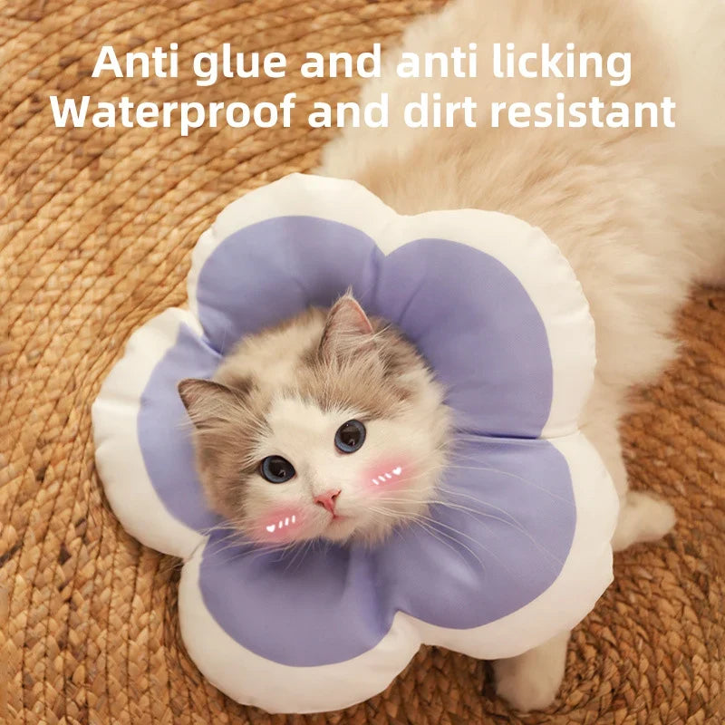 HOOPRT Cat Flower Elizabeth Cotton Neck Pet - MyPetDollar.com