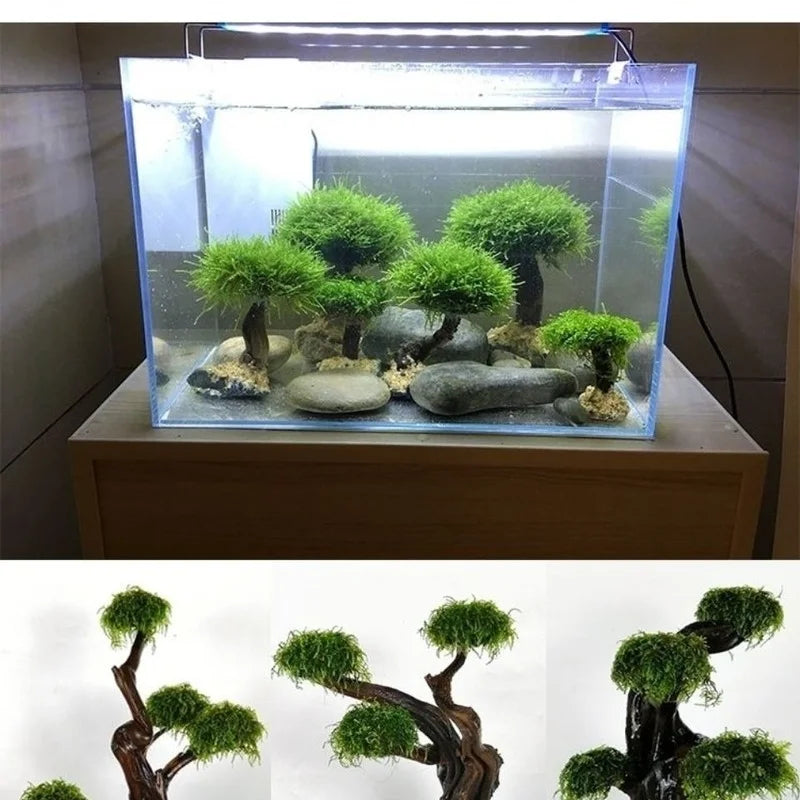 Aquarium Moss Tree Sponge Stainless Steel - MyPetDollar.com