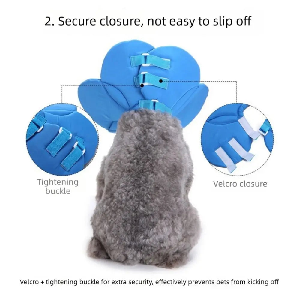 Flower Shape Pet Cone Collar Anti-licking - MyPetDollar.com