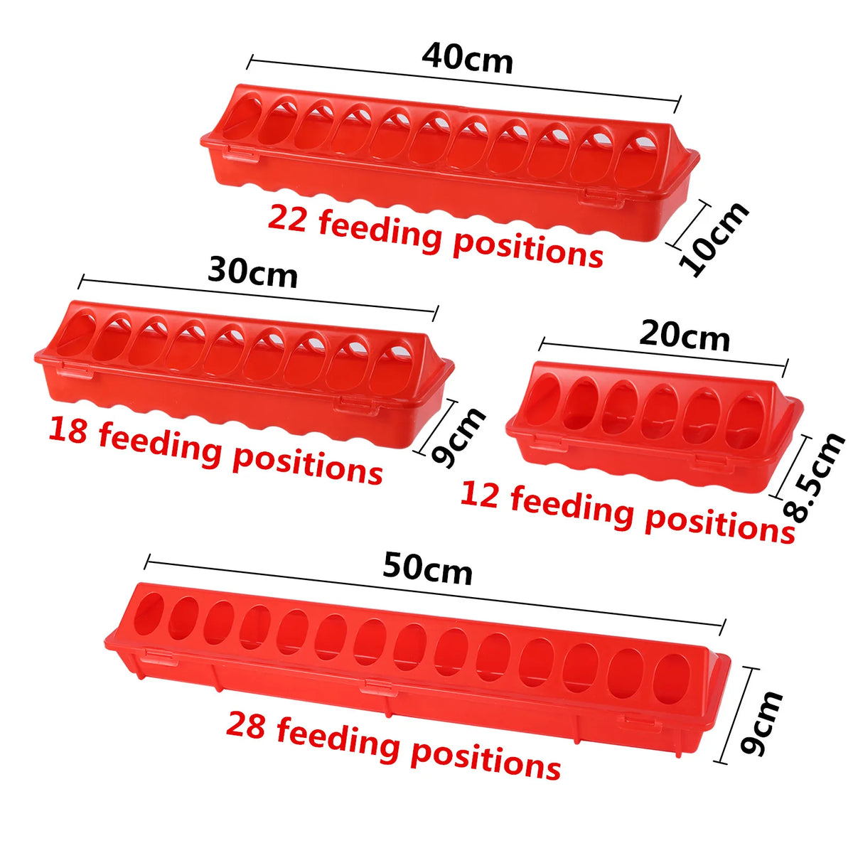 Plastic Flip-Top Poultry Bird Feeder Ground - MyPetDollar.com