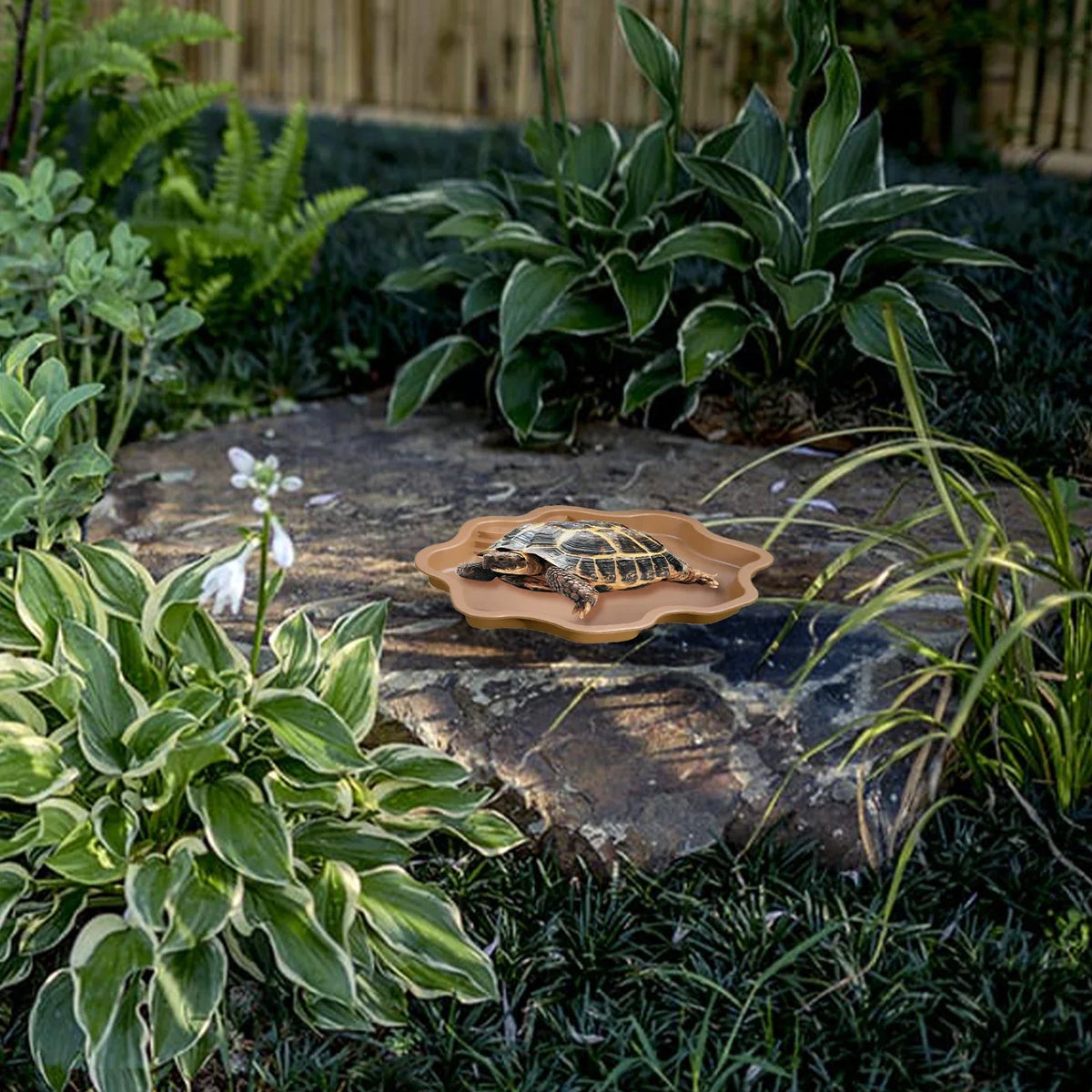 Reptile Bathing Pool Amphibians Accessories - MyPetDollar.com