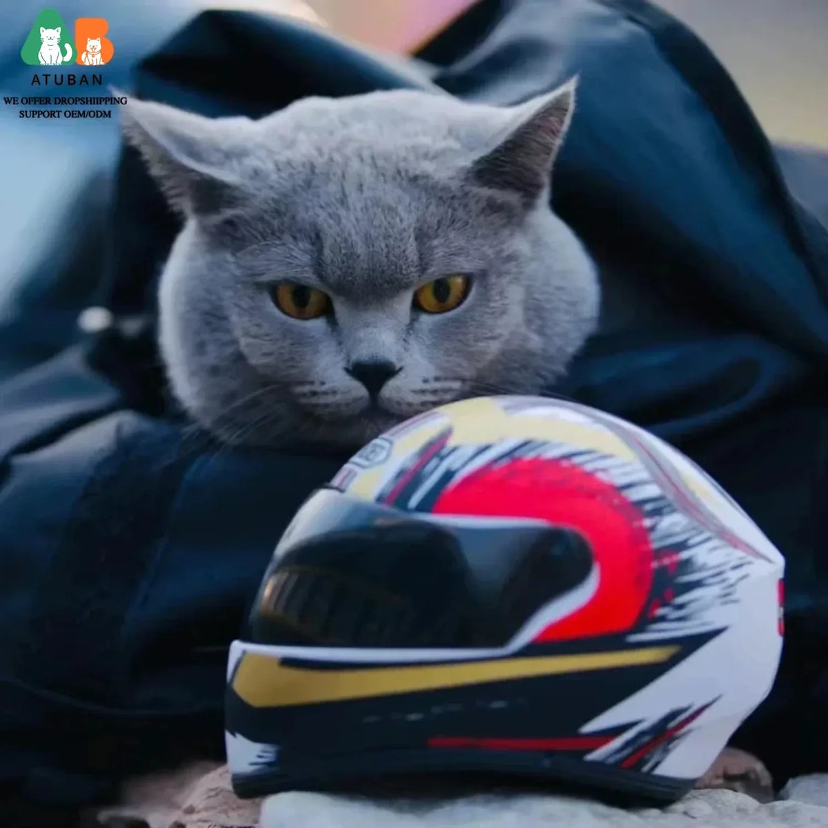 ATUBAN Pet Motorcycle Helmet, Puppy Cat - MyPetDollar.com