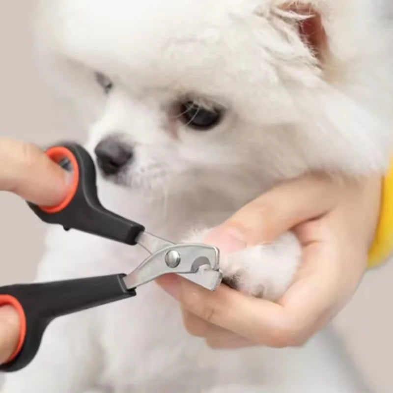 Pet Nail Dog Nail Clippers Scissors Puppy - MyPetDollar.com