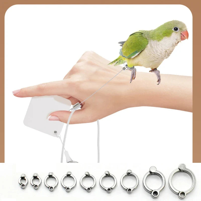Cockatiel Harness And Leashes 2M Conures - MyPetDollar.com
