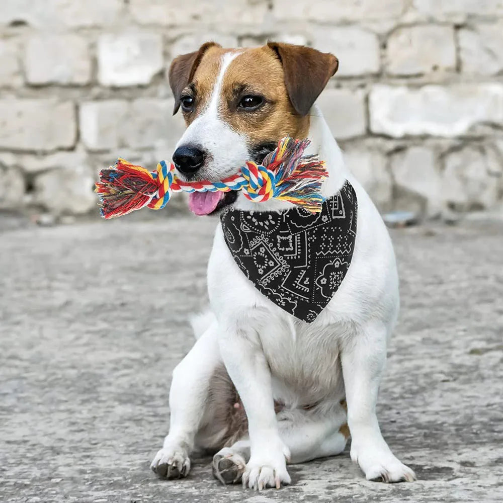 Dog Bandana Collar Scarf Cat Bandana Collar - MyPetDollar.com