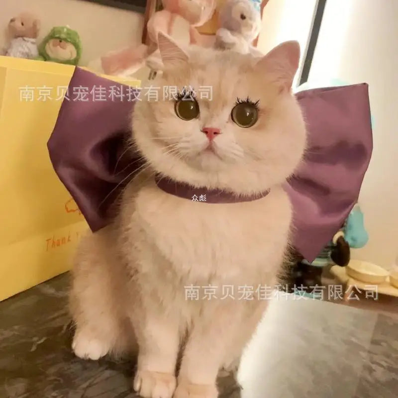 Mary Cat Bow Tie Pet Collar Scarf Cat - MyPetDollar.com
