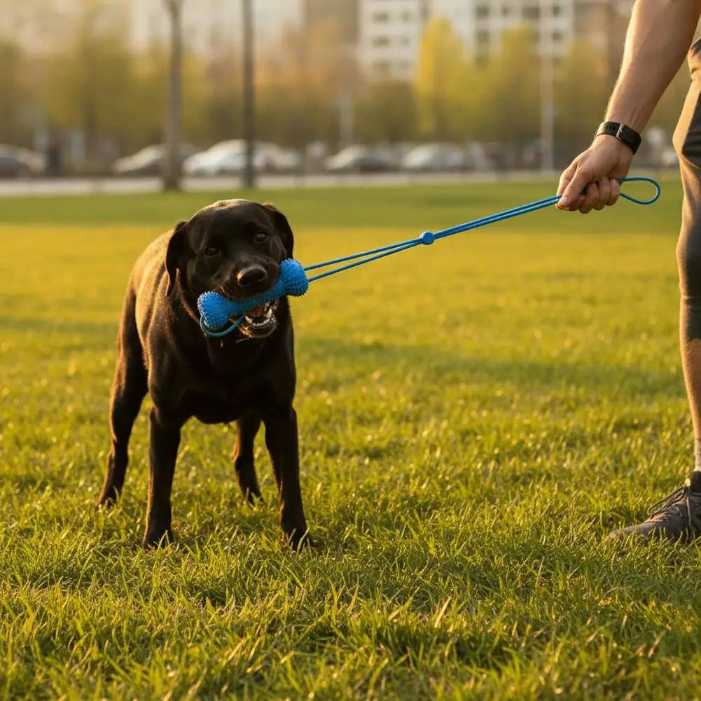 Dog Toothbrushing Chew Toy with Interactive - MyPetDollar.com