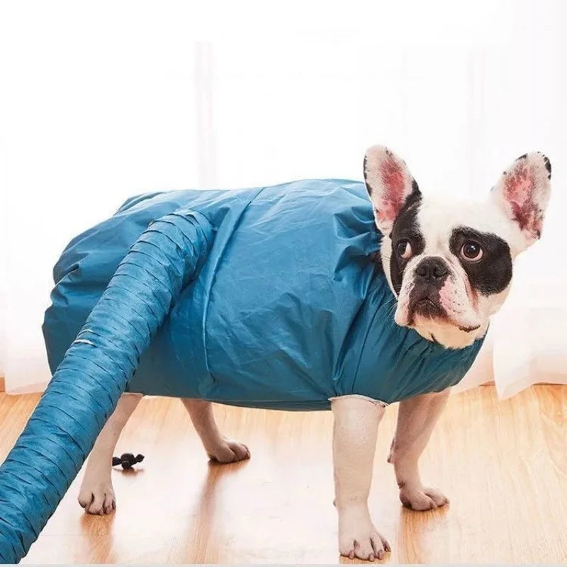 Folding Dog Hair Dryer Portable Pet Drying - MyPetDollar.com