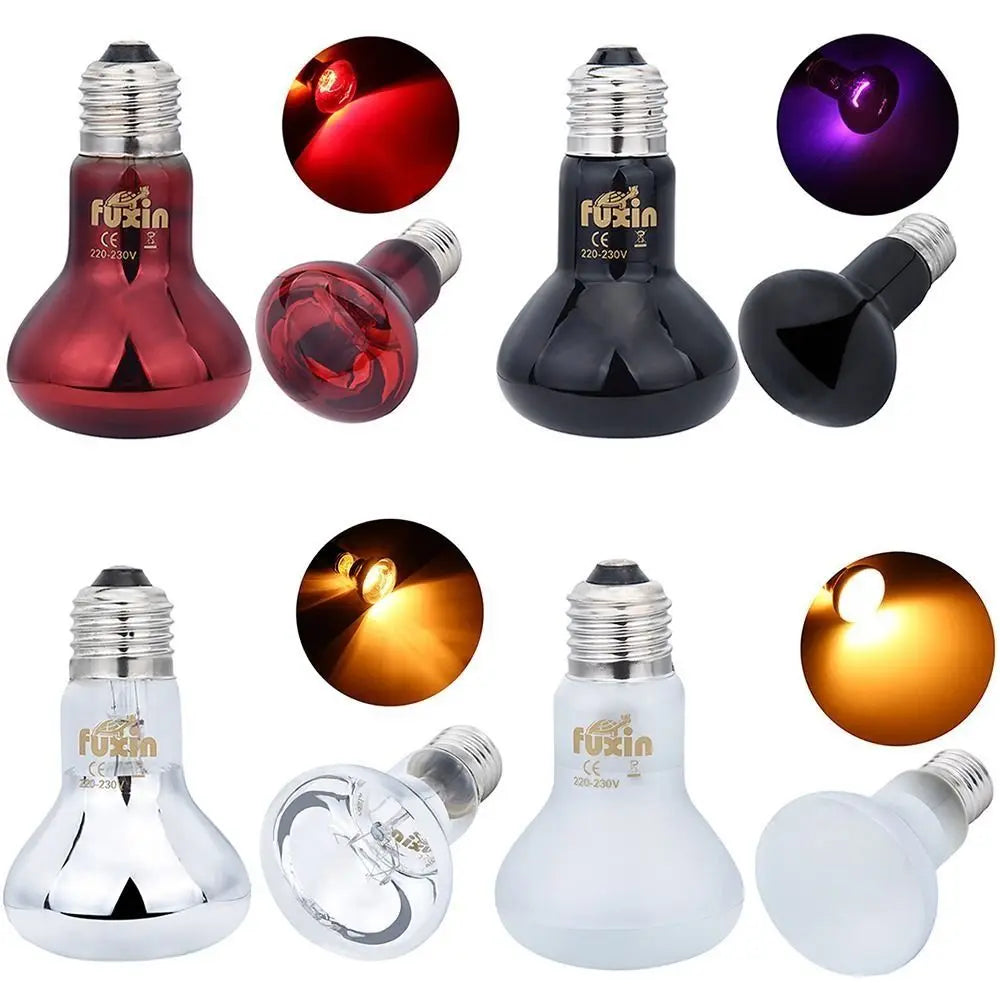 Glass Bulb UVA Led Pet Heating Lamp Infrared - MyPetDollar.com