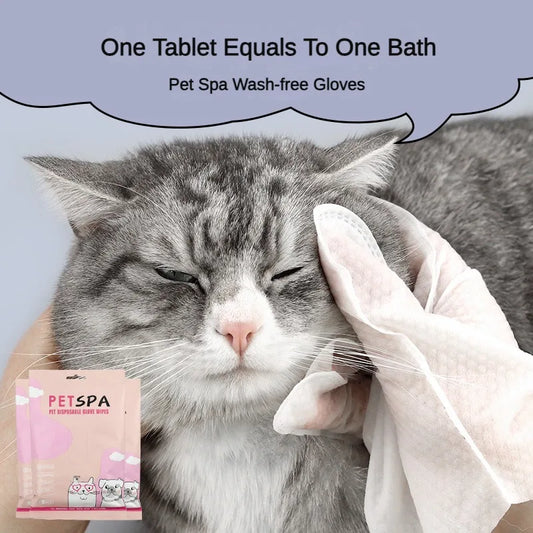 6pcs Pet Disposable Disposable Gloves Cat - MyPetDollar.com