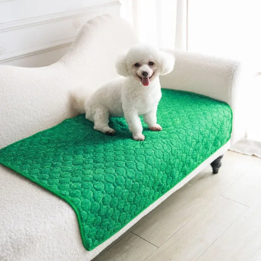 Washable Dog Urine Pad Absorbent Easy Dry - MyPetDollar.com