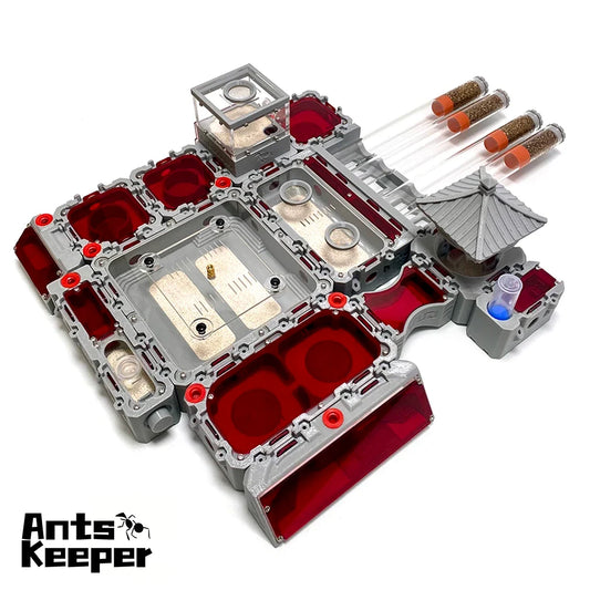 【Lego】Expandable Modular Formicarium Ant - MyPetDollar.com