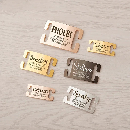 Personalized Stainless Steel Pet Cat Dog ID - MyPetDollar.com