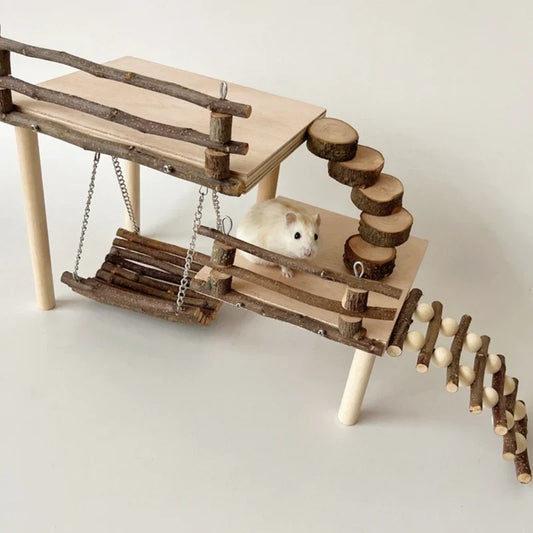 Hamster Swing Providing Safe and Exciting - MyPetDollar.com