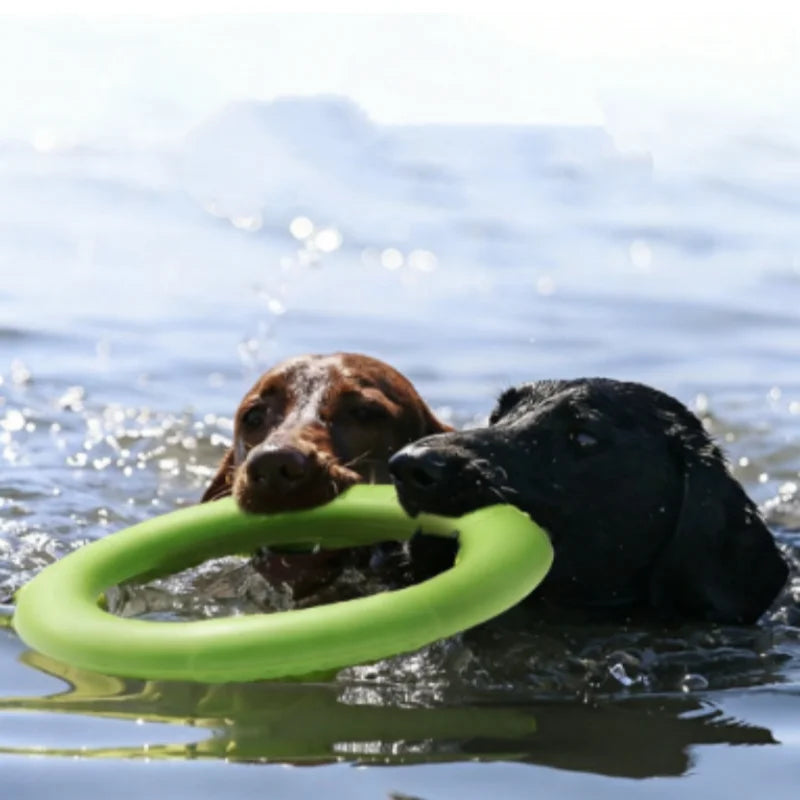 Bite Resistant Soft Dog Ring Toy TPR - MyPetDollar.com