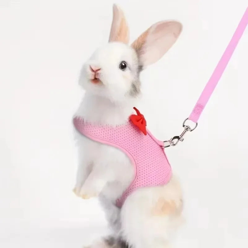 Adjustable Bunny Harness And Leash Set Soft - MyPetDollar.com