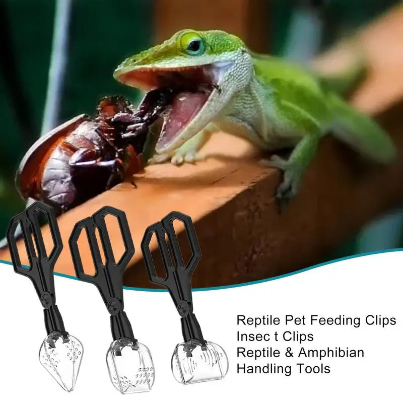 Crickets Feeder For Reptiles 3 Pieces Clip - MyPetDollar.com