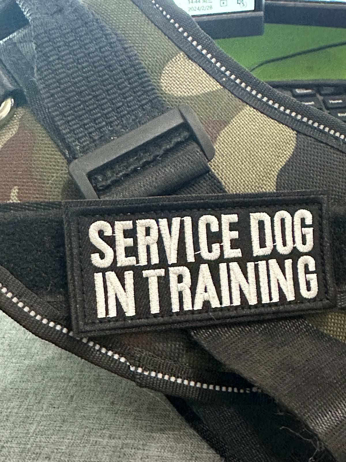 Therapy Dog Security Patches Keep Your Pet - MyPetDollar.com