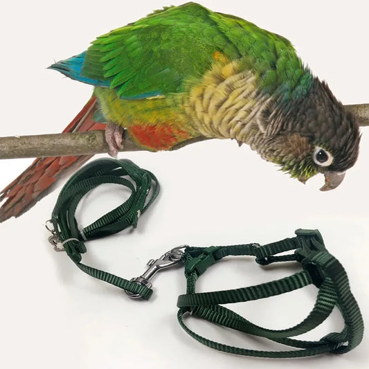 Parrot Training Flying Traction Rope - MyPetDollar.com