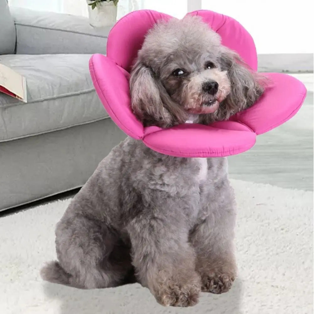 Flower Shape Pet Cone Collar Anti-licking - MyPetDollar.com