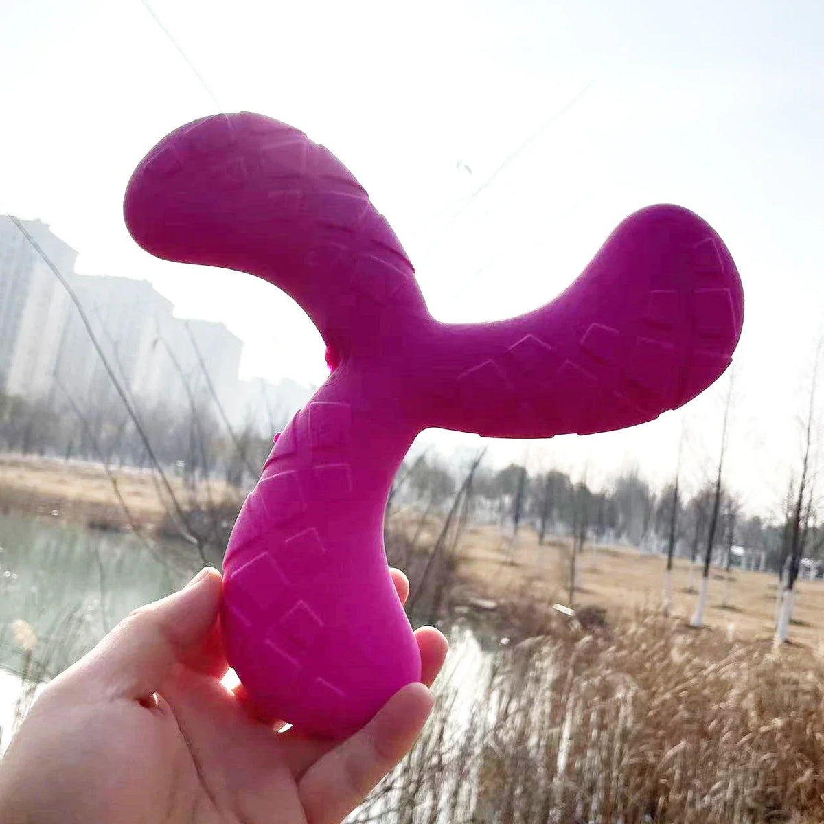 Fun Pet Toy Water Floating Triangle Boomerang