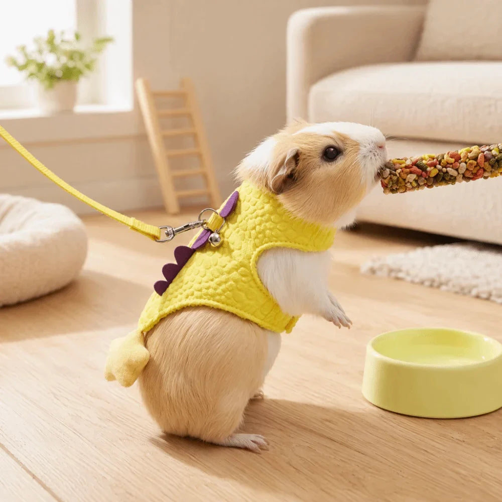 Cartoon Ferret Vest Harness Dragon Design - MyPetDollar.com