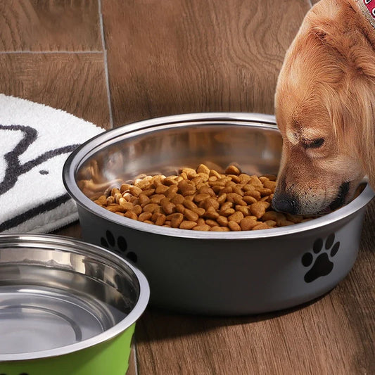 Pet Bowl Stainless Steel Dog Water Bowl with - MyPetDollar.com