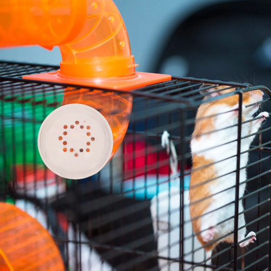 6Pcs End Caps for Hamster Tunnels Chew - MyPetDollar.com