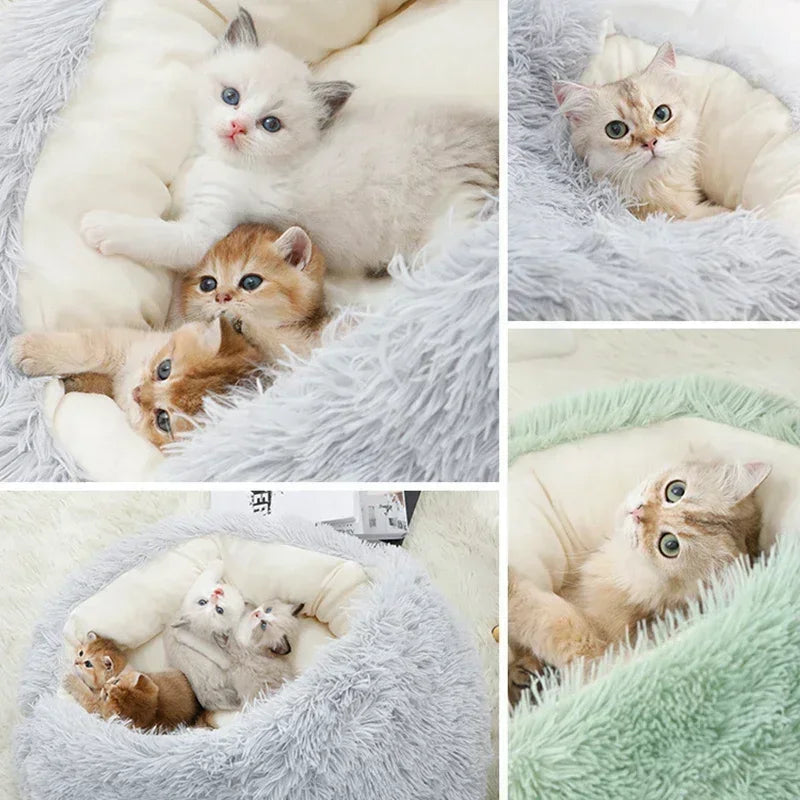 2 in 1 Winter Soft Plush Pet Bed with Cover - MyPetDollar.com