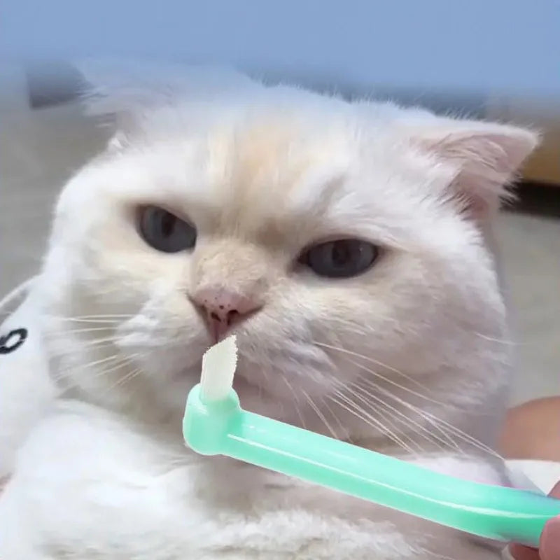 Cat Toothbrush Oral Care Pet Toothbrushes - MyPetDollar.com