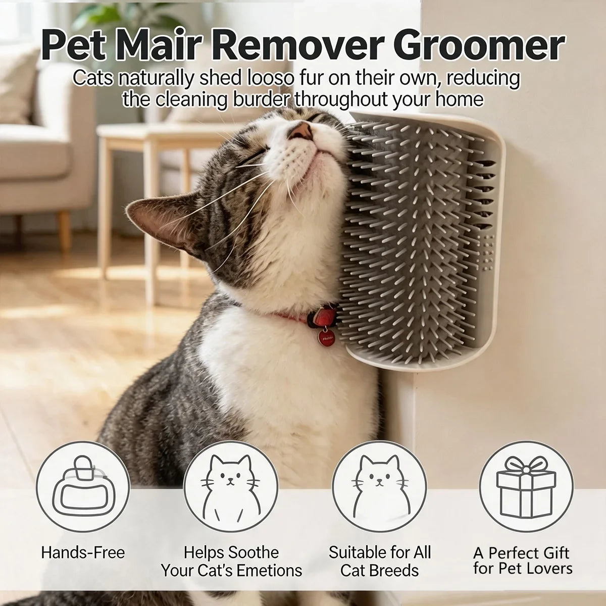Pet Mair Remover Groomer Cat Toy with Catnip - MyPetDollar.com