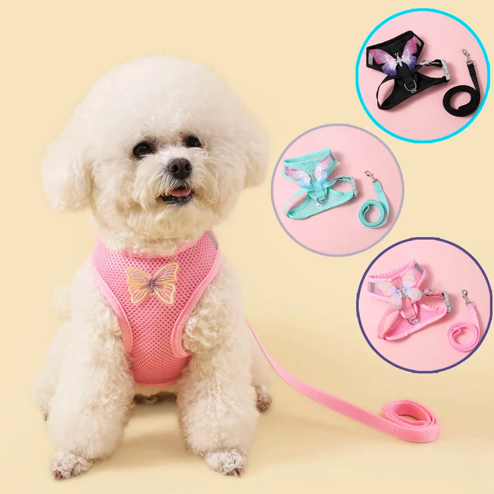 New Breathable Cute Cat Harness Set - MyPetDollar.com