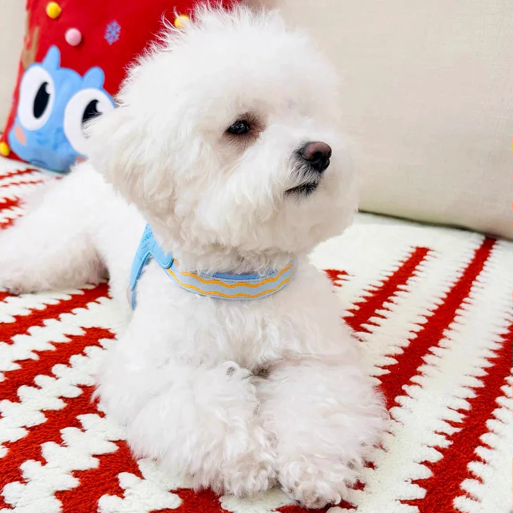 Spring Summer Cat Puppy Harness Wear Simple - MyPetDollar.com