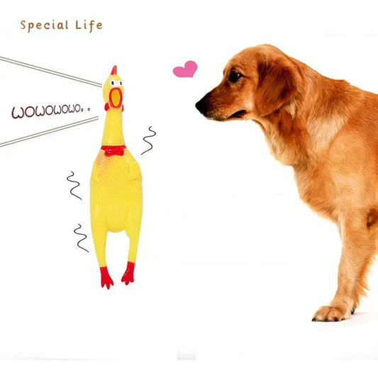 1 Piece Lovely Rubber Cute Pet Squeaky Toy - MyPetDollar.com