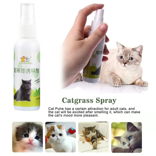 1pcs 50ml Cat Catnip Spray Natural Healthy - MyPetDollar.com