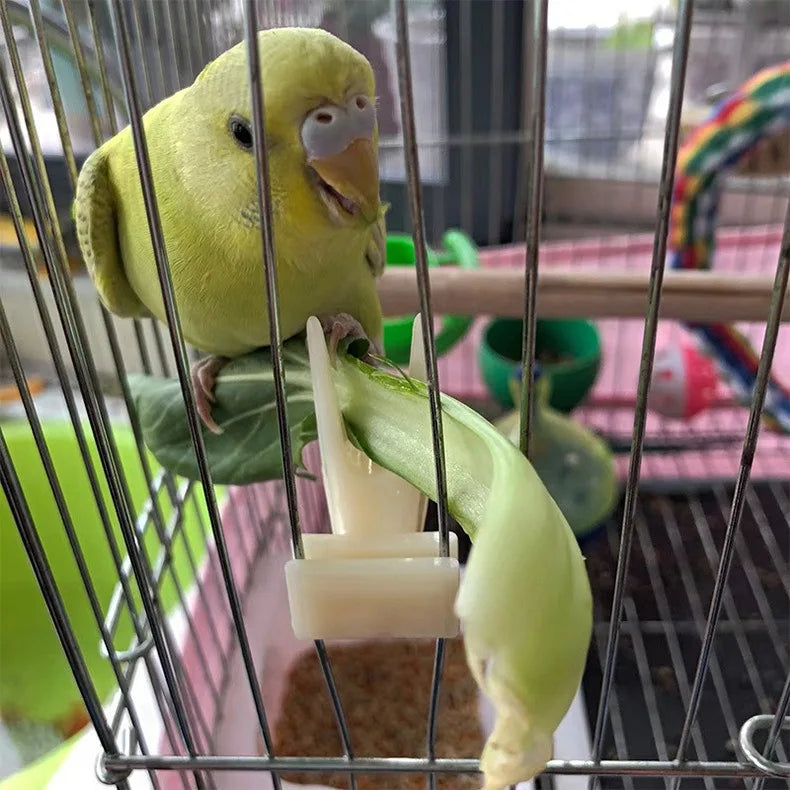 1 Pcs Bird Parrot Fruit Fork Pet Supplies - MyPetDollar.com