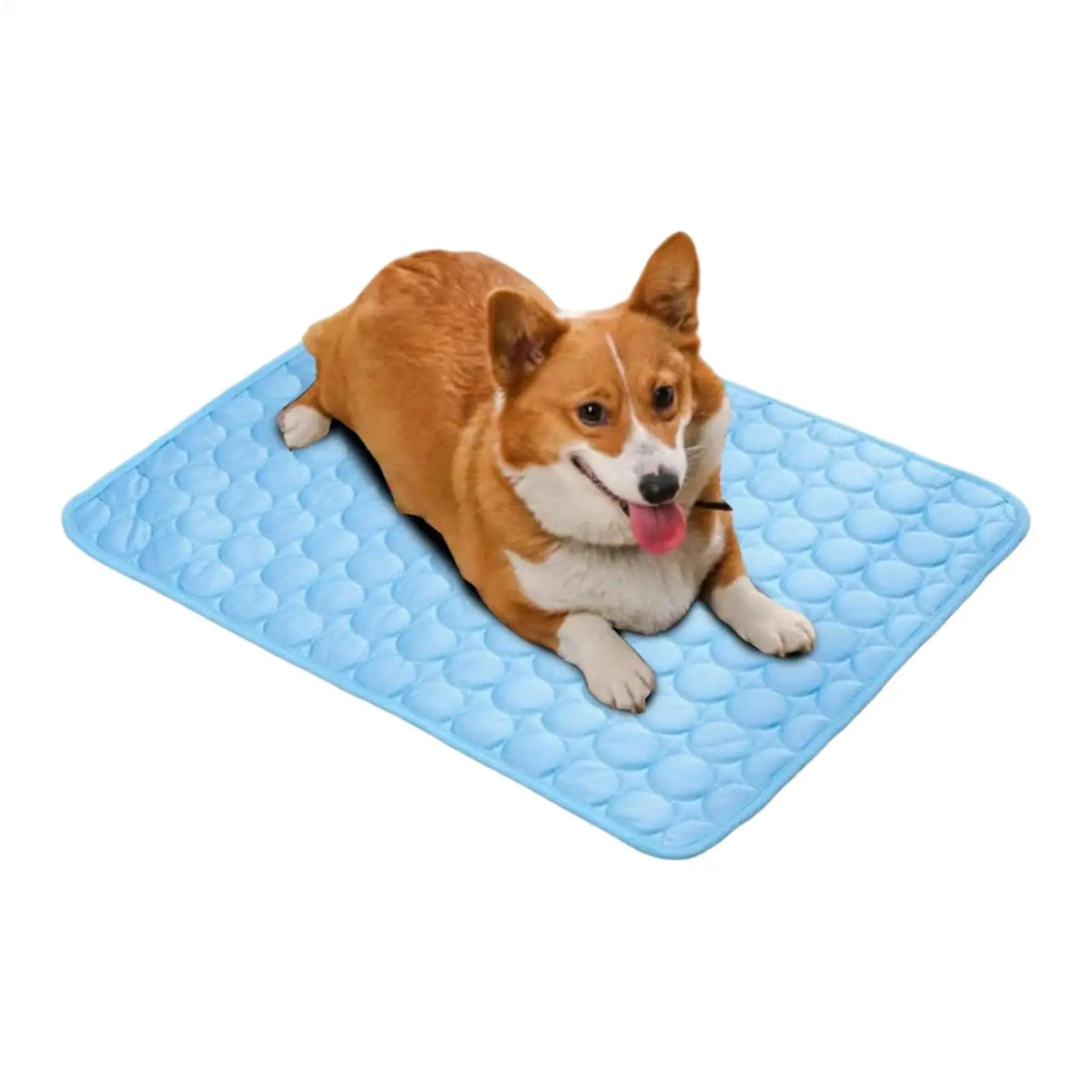 Dog Cooling Mat Summer Pet Cold Bed Extra - MyPetDollar.com