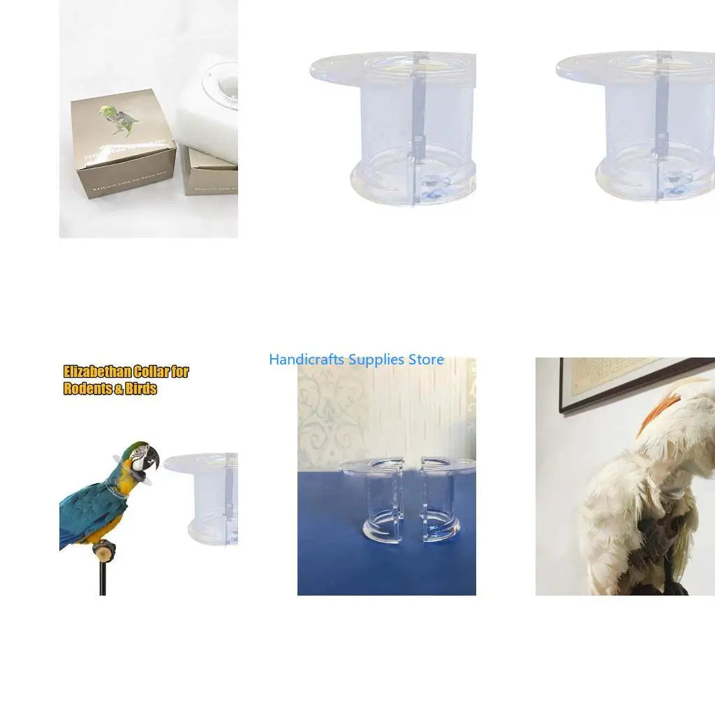 R1WA Bird Collar Parrot Anti-bite Recovery - MyPetDollar.com