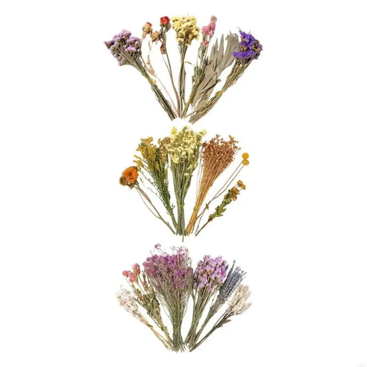 Natural Dried Flower Bedding for Hamster - MyPetDollar.com