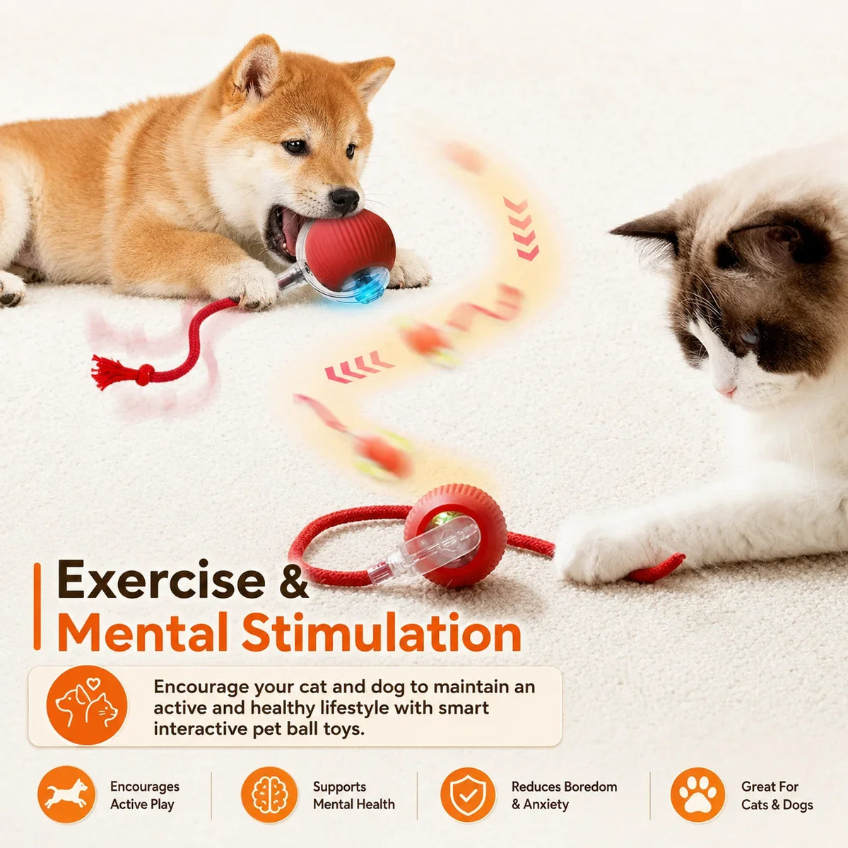 New Dog Interactive Ball Toy,Automatic - MyPetDollar.com