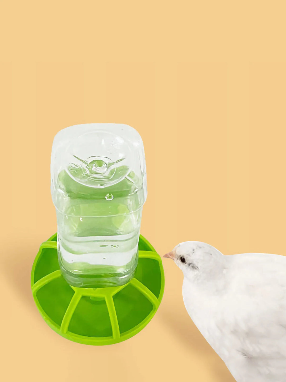 1pc-Automatic water dispenser for turtles - MyPetDollar.com