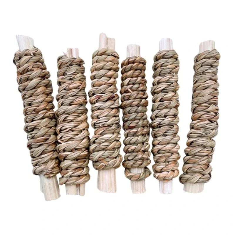 6Pcs Rabbit Chew Toy Natural Treats Sweet - MyPetDollar.com