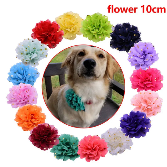20/50PCS Big Flower Collar For Dogs - MyPetDollar.com