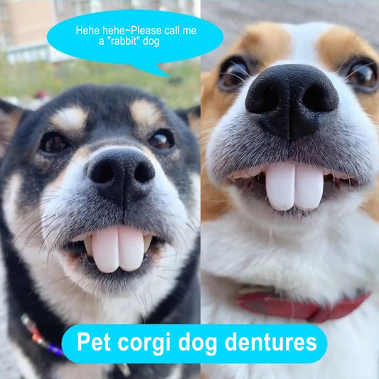 Pets Dog False Teeth Toy Rabbit Front - MyPetDollar.com
