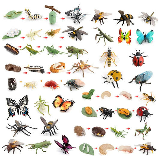 Realistic Insect Grasshopper Mosquito Cicad - MyPetDollar.com